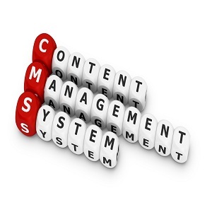 Cmsهای اختصاصی Cmsهای اختصاصی-سیستم مدیریت محتوا