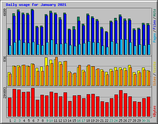 Daily usage for January 2021