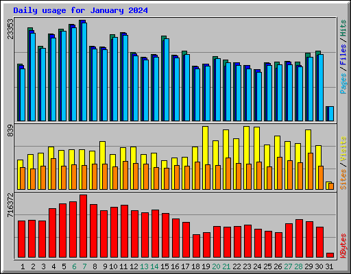 Daily usage for January 2024