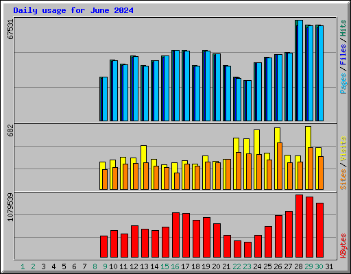 Daily usage for June 2024