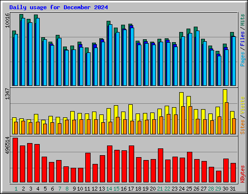 Daily usage for December 2024