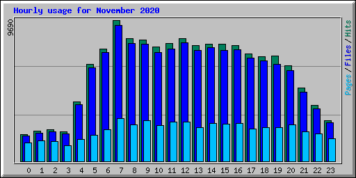 Hourly usage for November 2020