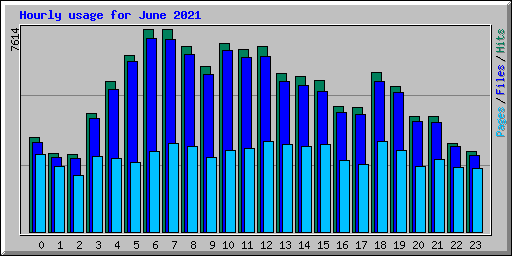 Hourly usage for June 2021