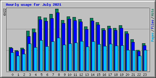 Hourly usage for July 2021