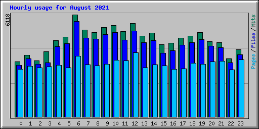 Hourly usage for August 2021