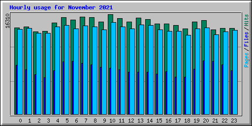 Hourly usage for November 2021