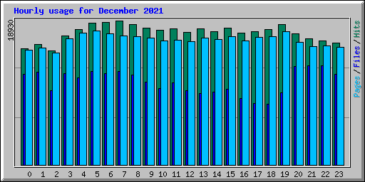 Hourly usage for December 2021