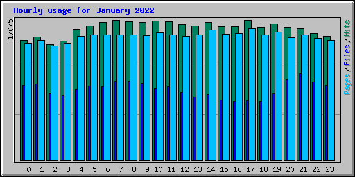 Hourly usage for January 2022