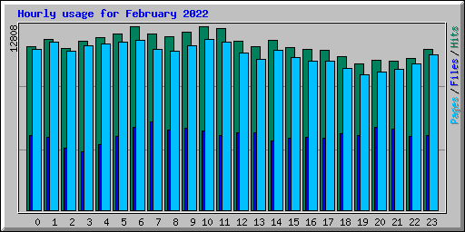 Hourly usage for February 2022