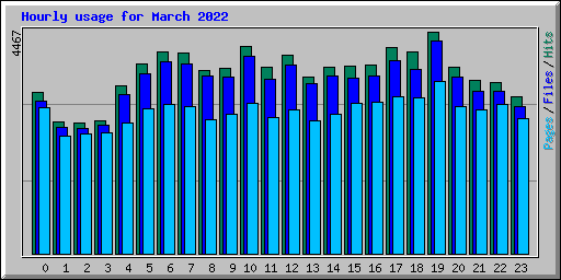 Hourly usage for March 2022