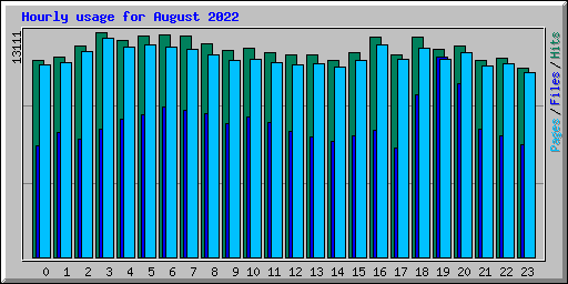 Hourly usage for August 2022