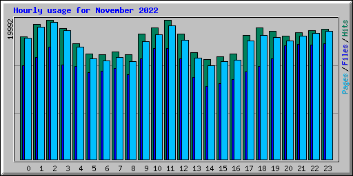 Hourly usage for November 2022