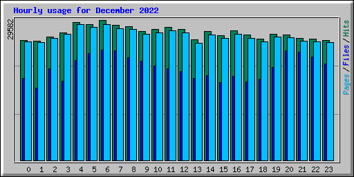 Hourly usage for December 2022