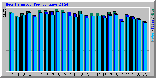 Hourly usage for January 2024