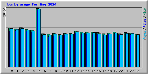 Hourly usage for May 2024