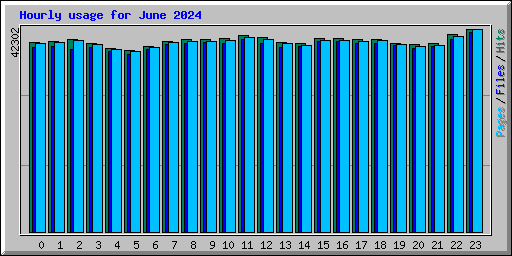 Hourly usage for June 2024