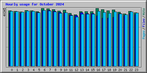 Hourly usage for October 2024