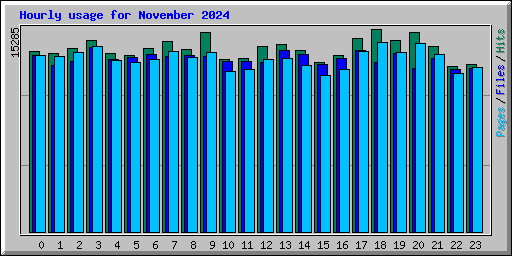 Hourly usage for November 2024