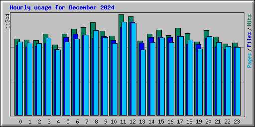 Hourly usage for December 2024