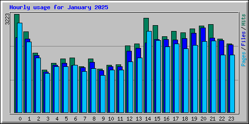 Hourly usage for January 2025