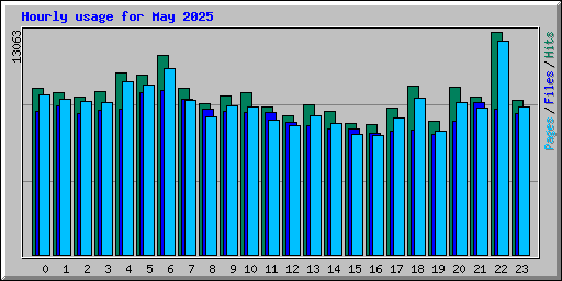 Hourly usage for May 2025