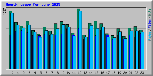 Hourly usage for June 2025