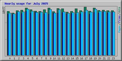 Hourly usage for July 2025