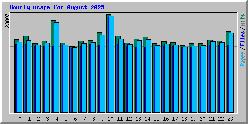 Hourly usage for August 2025