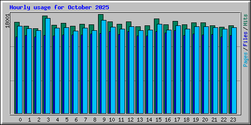 Hourly usage for October 2025