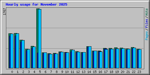 Hourly usage for November 2025