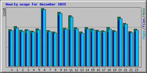 Hourly usage for December 2025