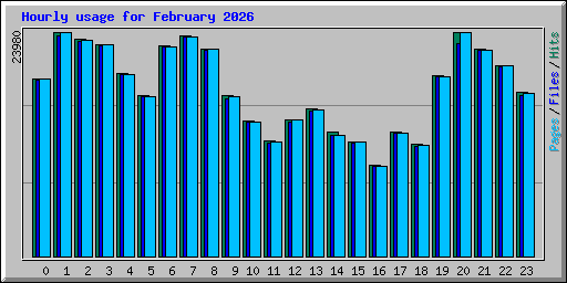 Hourly usage for February 2026